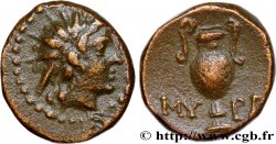 ÉOLIDE - MYRHINA Demi-unité