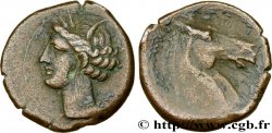 ZEUGITANA - CARTHAGE Shekel