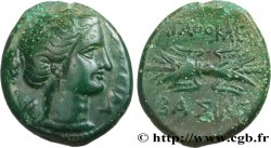 SICILE - SYRACUSE Hemilitron TTB