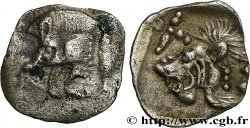 MYSIE - CYZIQUE Hemiobole