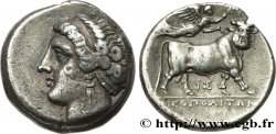 CAMPANIA - NEAPOLIS Nomos, statère ou didrachme XF/AU