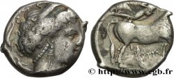 CAMPANIE - NEAPOLIS (NAPLES) Nomos, statère ou didrachme
