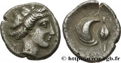 CAMPANIE - CUMES Nomos, didrachme ou statère TTB