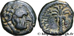 SYRIE - ROYAUME SÉLEUCIDE - ANTIOCHUS III LE GRAND  Hemichalque