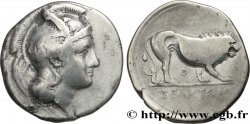 LUCANIA - VELIA Nomos, statère ou didrachme
