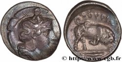 LUCANIE - THURIUM Nomos, statère ou didrachme TTB