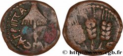 JUDAEA - HERODIAN KINGDOM - AGRIPPA I Prutah VF