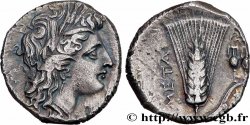 LUCANIA - METAPONTION Nomos, statère ou didrachme