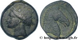ZEUGITANE - CARTHAGE Shekel