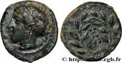 SICILE - HIMÈRE Hemilitron