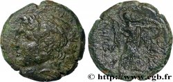 SIKILIEN - SYRACUS - PYRRHUS Litra