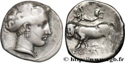 CAMPANIE - NEAPOLIS (NAPLES) Nomos, statère ou didrachme
