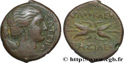 SICILE - SYRACUSE Hemilitron TTB