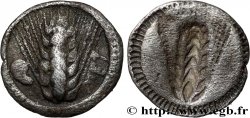 LUCANIA - METAPONTUM Obole
