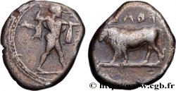 LUCANIE - POSEIDONIA Nomos, statère ou didrachme