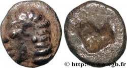 IONIE - COLOPHON Tetartemorion SUP