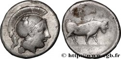 CAMPANIA - IRRIA Nomos, statère ou didrachme