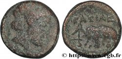 SYRIE - ROYAUME SÉLEUCIDE - ANTIOCHUS III LE GRAND  Unité