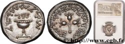 JUDAEA - FIRST REVOLT Shekel