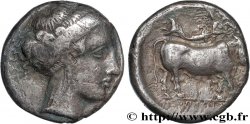CAMPANIE - NEAPOLIS (NAPLES) Nomos, statère ou didrachme TTB