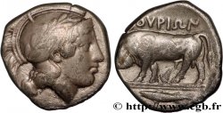 LUCANIE - THURIUM Nomos, statère ou didrachme TTB