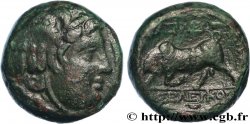 SYRIA - SELEUKID KINGDOM - SELEUKOS I NICATOR Chalque