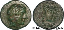 SYRIA - SELEUKID KINGDOM - ANTIOCHUS II THEOS Bronze