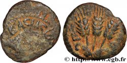 JUDAEA - HERODIAN KINGDOM - AGRIPPA I Prutah