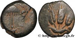 JUDAEA - HERODIAN KINGDOM - AGRIPPA I Prutah