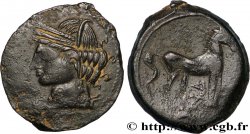 ZEUGITANE - CARTHAGE Shekel