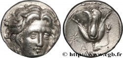 CARIE - ÎLES DE CARIE - RHODES Didrachme SUP