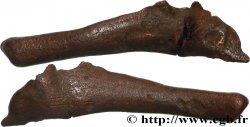 SARMATIA - OLBIA Dauphin