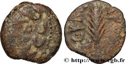 JUDAEA - ROMAN GOVERNORS Prutah