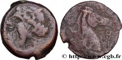 ZEUGITANIA - CARTHAGE Shekel