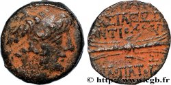 SYRIA - SELEUKID KINGDOM - ANTIOCHUS IX CYZICENUS Chalque