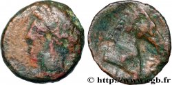 ZEUGITANA - CARTHAGE Shekel