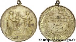 PRIX ET RÉCOMPENSES HYGIENE DE L ENFANCE PARIS 1893  TB+