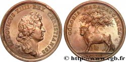 LOUIS XIV LE GRAND ou LE ROI SOLEIL Colonie de Madagascar SPL