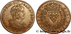 CONSEIL DU ROI Louis XIV SS