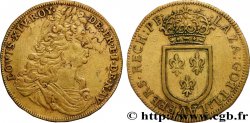 ROUYER - X. NUREMBERG JETONS AND TOKENS Louis XIV n.d.