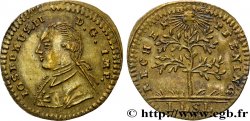 ALLEMAGNE - VILLE DE NUREMBERG - JOSEPH II Jeton de compte n.d.