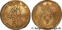 LOUIS XIV LE GRAND OU LE ROI SOLEIL Jean Wedingers n.d.