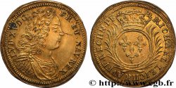 LOUIS XV DIT LE BIEN AIMÉ Michael Leichkauff n.d.