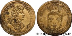 LOUIS XIV LE GRAND ou LE ROI SOLEIL Conrad Lauffer n.d.
