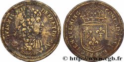 LOUIS XIV LE GRAND ou LE ROI SOLEIL Conrad Lauffer n.d.
