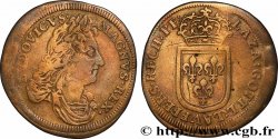 LOUIS XIV LE GRAND ou LE ROI SOLEIL Lazare Gottlieb Lauffer, jeton de compte n.d.