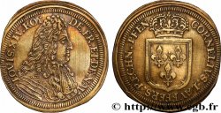 LOUIS XIV LE GRAND ou LE ROI SOLEIL Cornelius Lauffer, jeton de compte n.d.