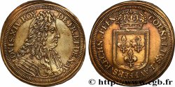 LOUIS XIV LE GRAND ou LE ROI SOLEIL Cornelius Lauffer, jeton de compte n.d.