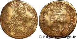 LOUIS XIV LE GRAND ou LE ROI SOLEIL Cornelius Lauffer, jeton de compte n.d.