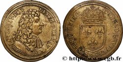 LOUIS XIV LE GRAND ou LE ROI SOLEIL Conrad Lauffer n.d.